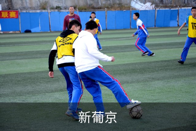 新葡京公司简介图片